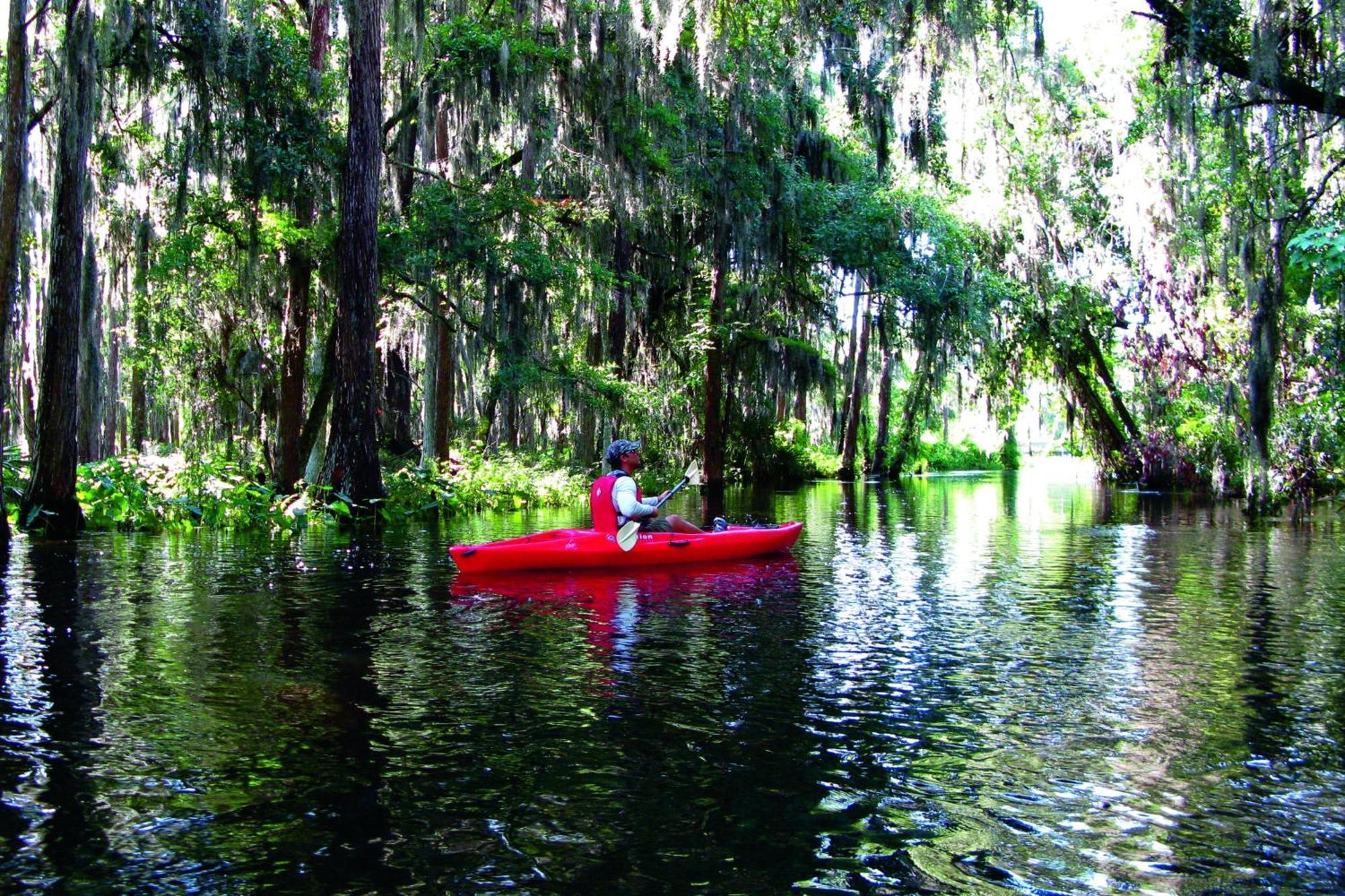 Jw Marriott Orlando Grande Lakes Williamsburg Екстер'єр фото